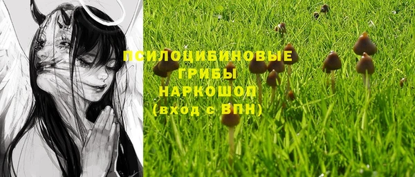 эйфоретик Сафоново