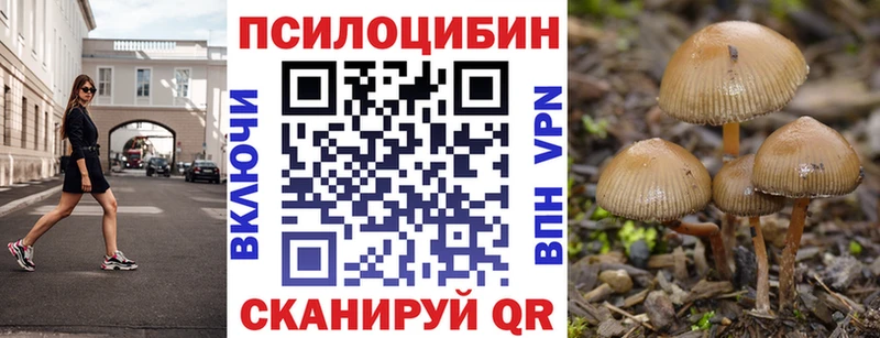 Галлюциногенные грибы Psilocybine cubensis  наркотики  Берёзовка 